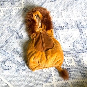 Lion Halloween costume Toddler 24 months 2 years